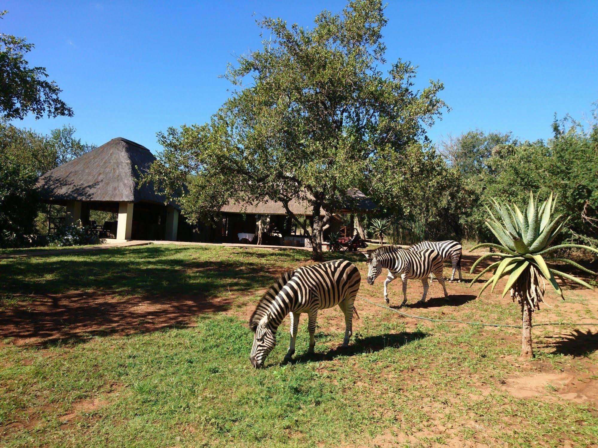 Royal Kruger Lodge Marloth Park Zewnętrze zdjęcie